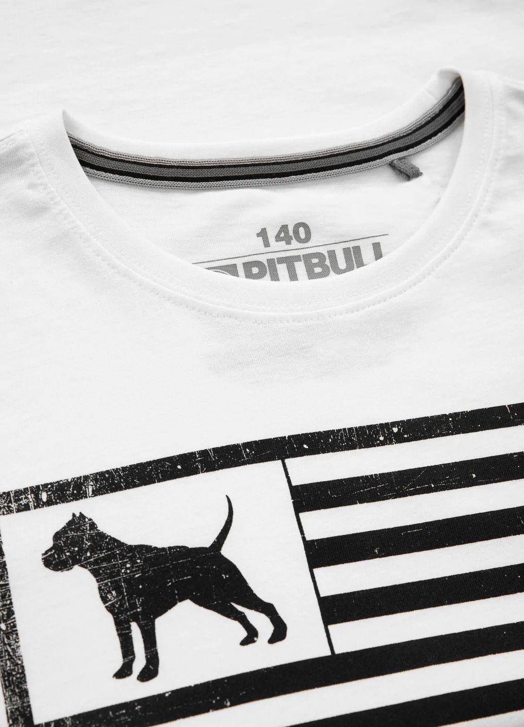 Kids T-Shirt Pitbull USA